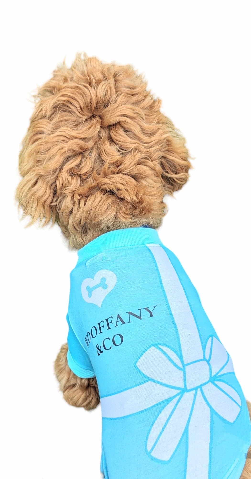 Dog T-Shirt Tee Clothes Vest Lightweight Stretchy Soft Cool Breathable Puppy (Blue, Small)